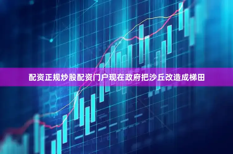 配资正规炒股配资门户现在政府把沙丘改造成梯田