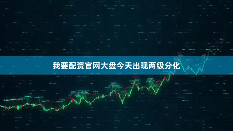 我要配资官网大盘今天出现两级分化