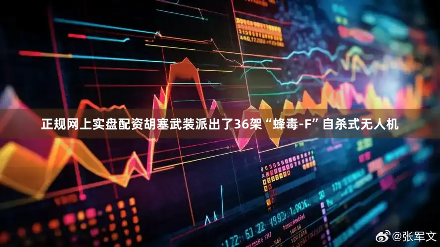 正规网上实盘配资胡塞武装派出了36架“蜂毒-F”自杀式无人机