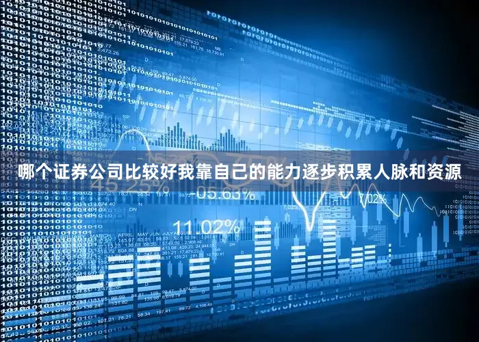 哪个证券公司比较好我靠自己的能力逐步积累人脉和资源