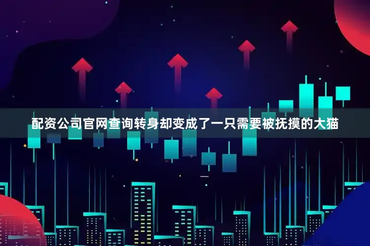 配资公司官网查询转身却变成了一只需要被抚摸的大猫