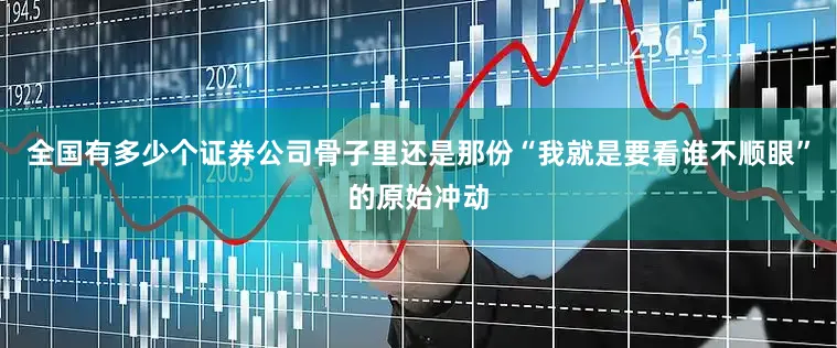 全国有多少个证券公司骨子里还是那份“我就是要看谁不顺眼”的原始冲动